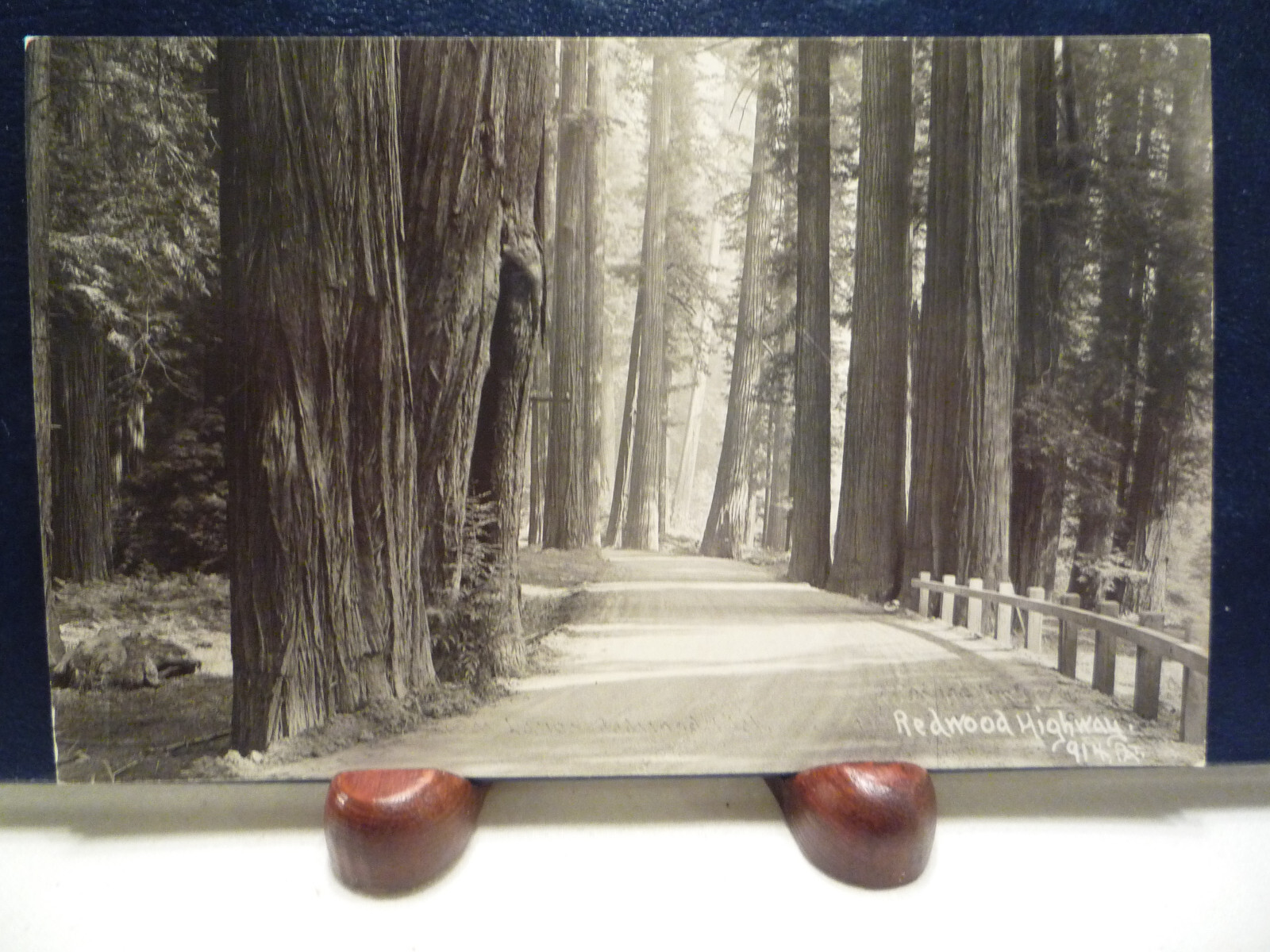 RPPC California Redwood Highway Through the Redwoods 1920s Patterson Photo #914