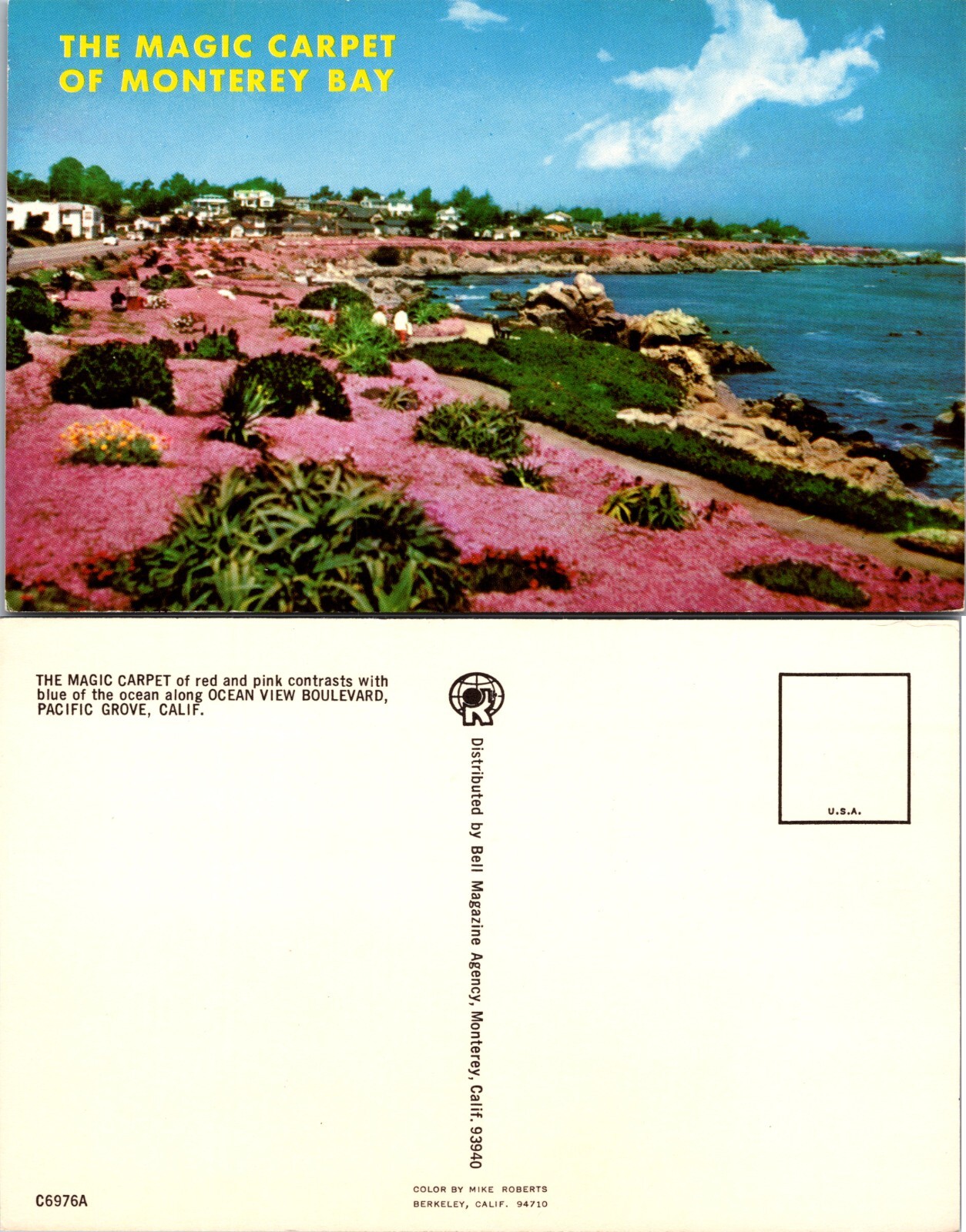 Magic Carpet Ocean View Boulevard Pacific Grove California CA Postcard