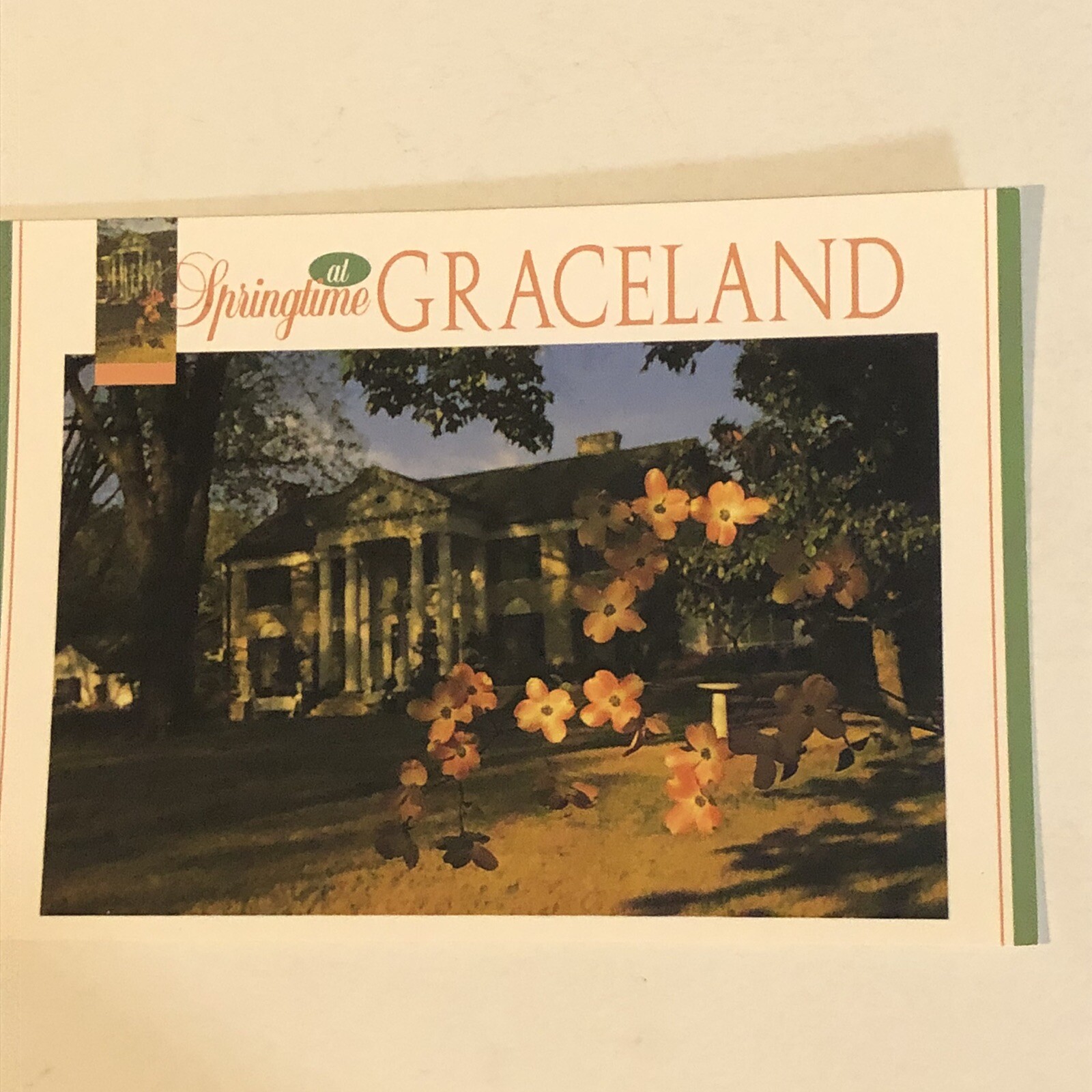 Elvis Presley Postcard Elvis Graceland Springtime