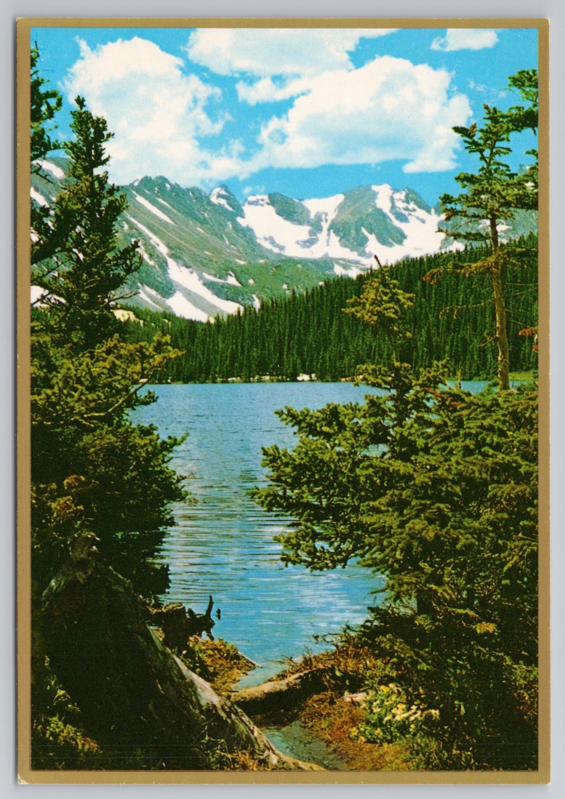 Mountain Lake in Rocky Mountains Colorado c1970s Gold Edition Postcard