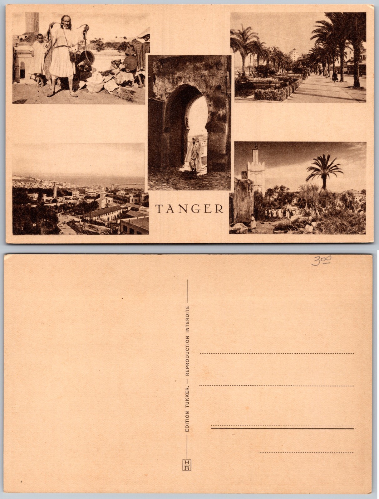 Tanger Morocco Postcard