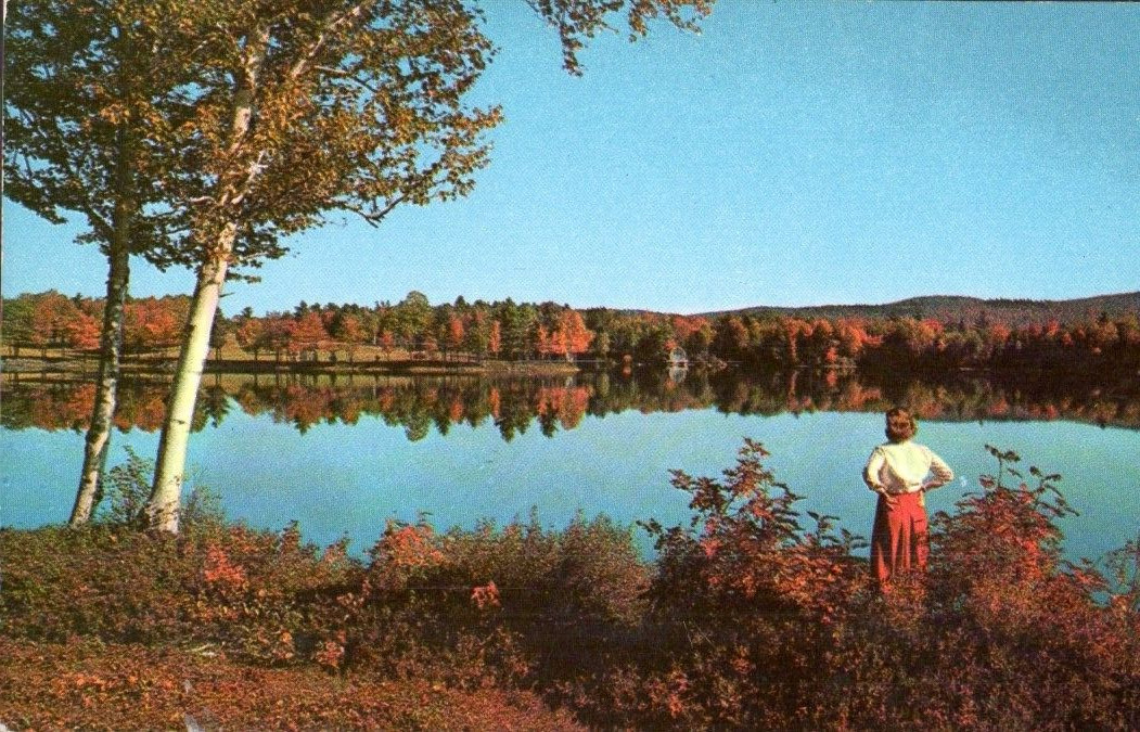 New Hampshire Lake Fall Autumn Colors NH Vintage Postcard