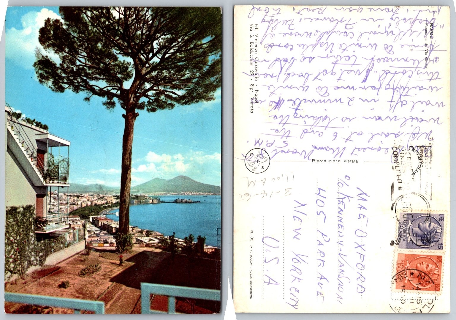 Naples Italy Vesuvius Bay Pine Tree Modern 1960 Posted Postcard