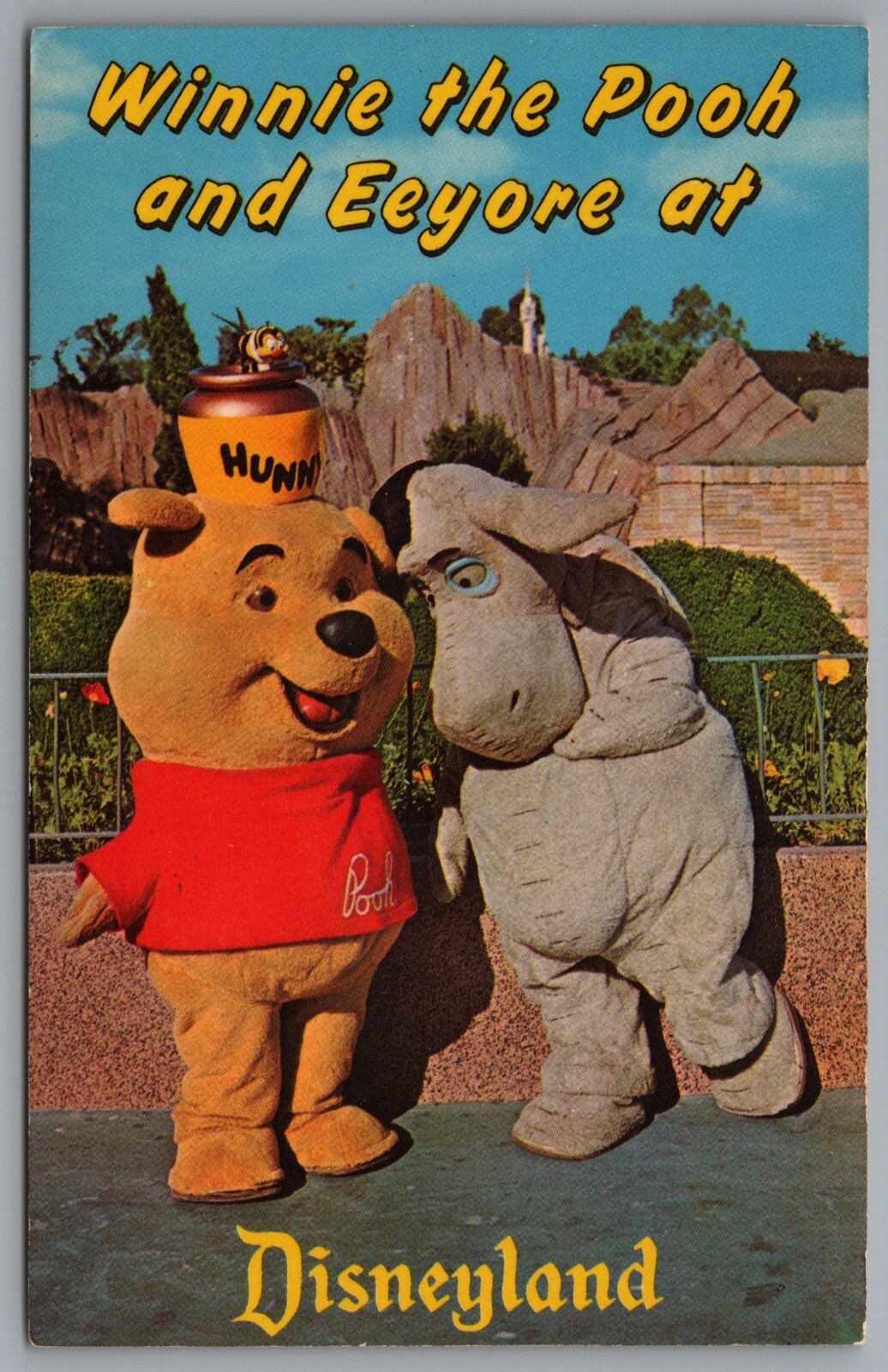 Anaheim CA Disneyland Winnie the Pooh Eeyore Fantasyland c1968 Postcard