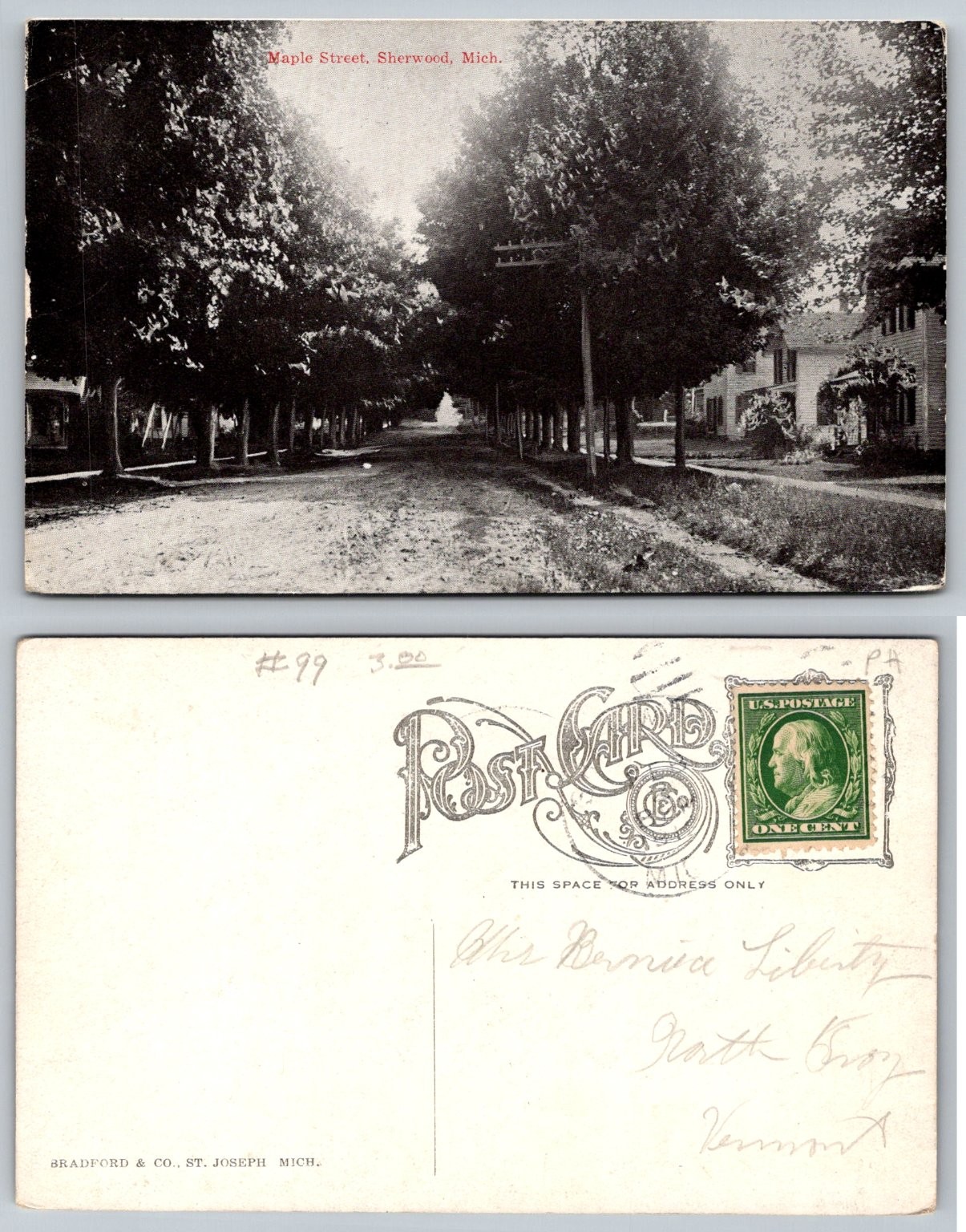 Maple Street Sherwood Michigan RPPC Postcard Bradford & Co. VT Postmark