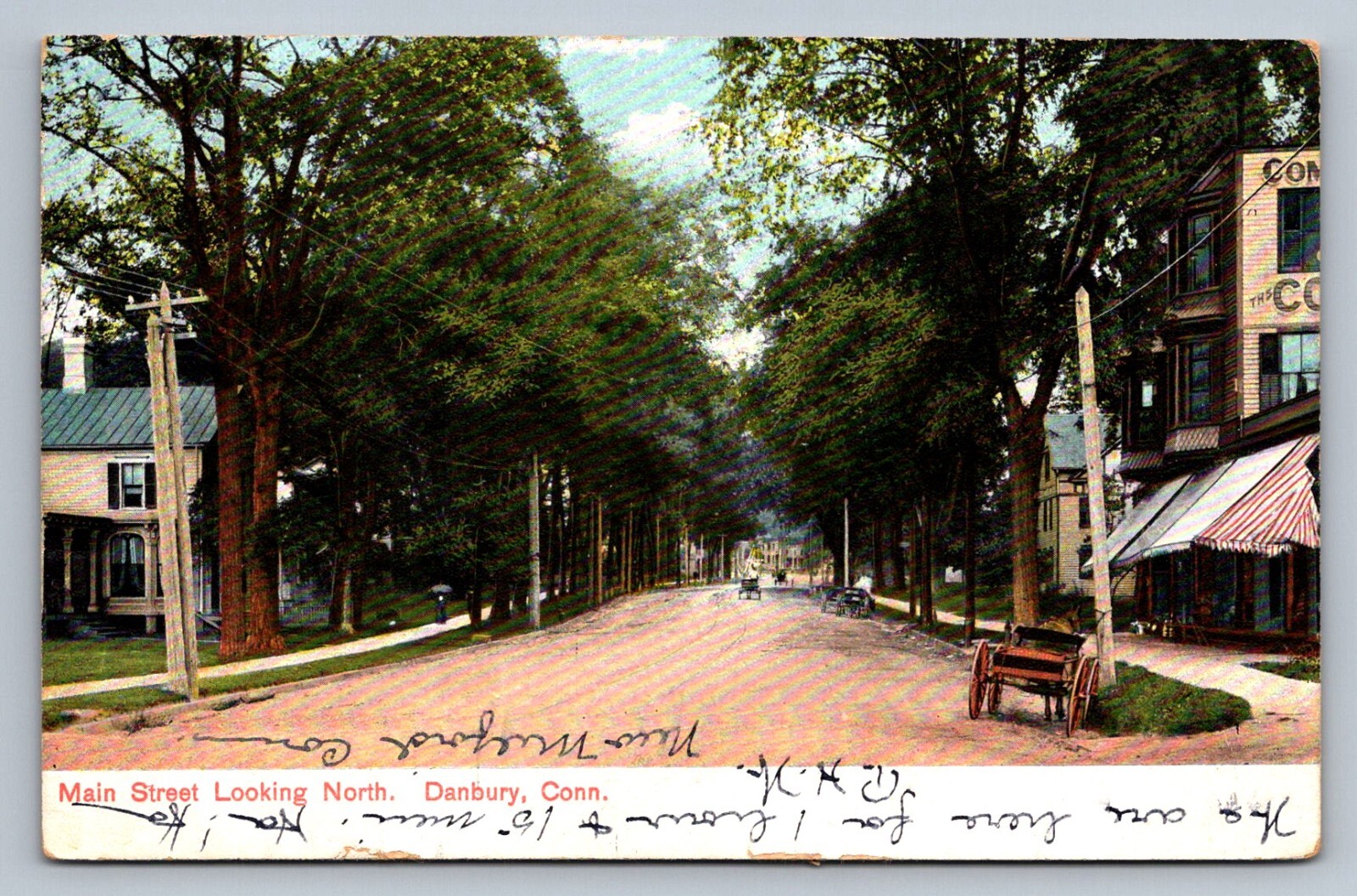 Postcard Connecticut Danbury Main Street View 1907 UDB L071