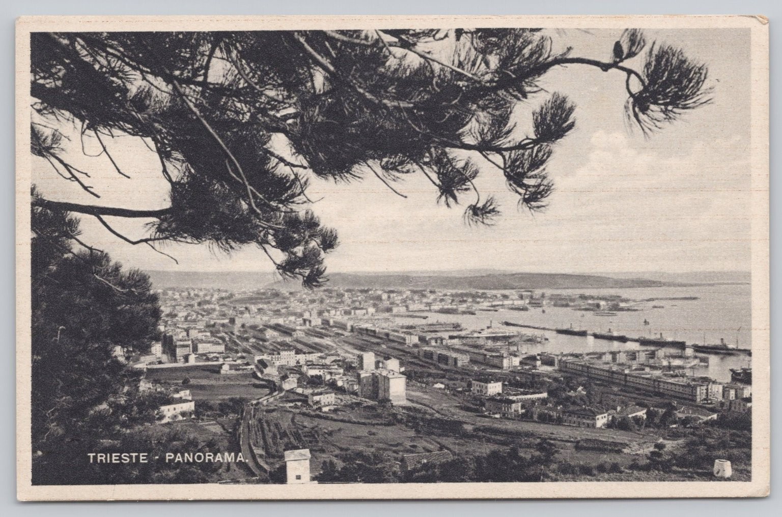 Trieste Italy Panorama View Postcard Early 20th Century Cityscape Port