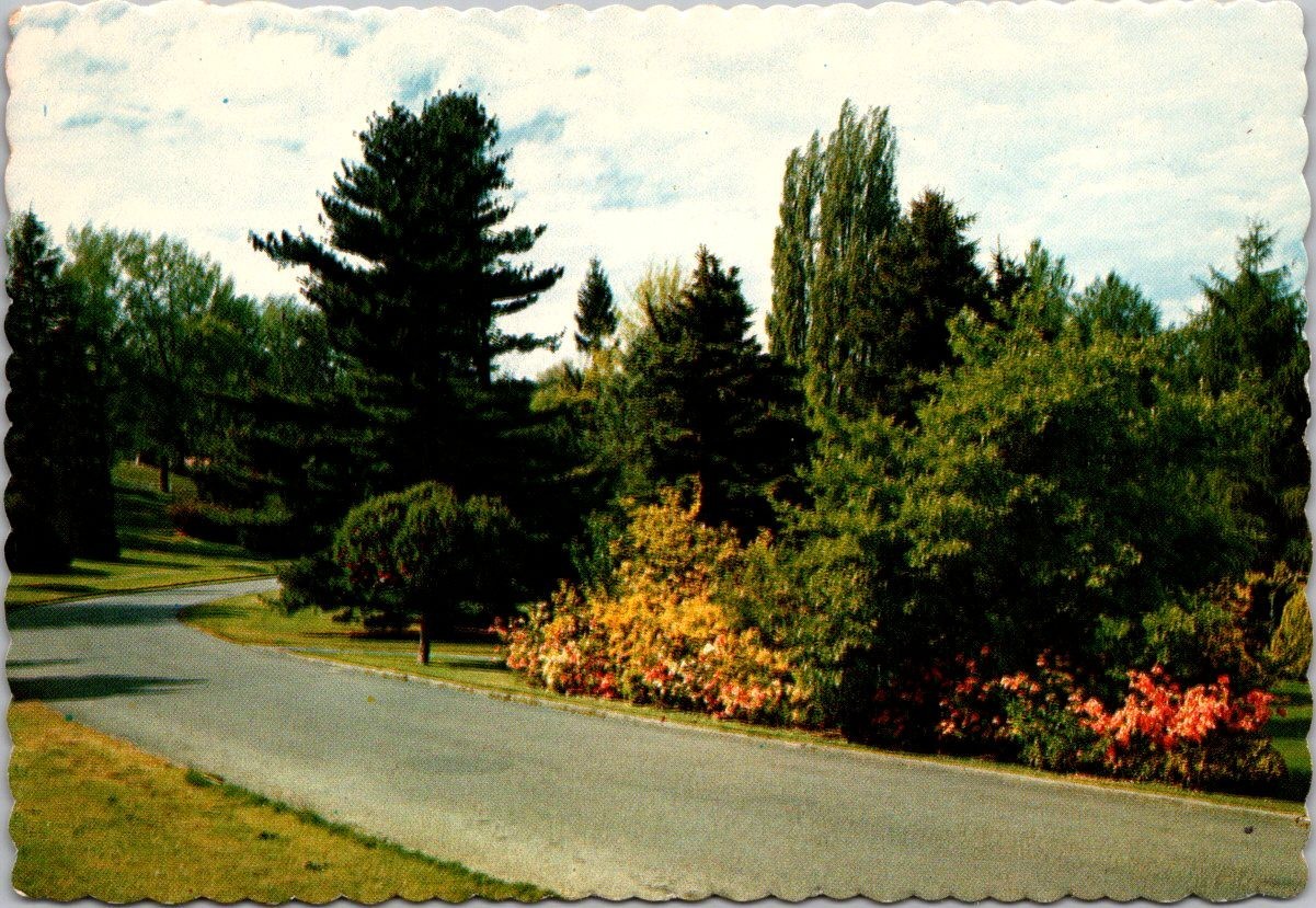 Point Defiance Park Tacoma Washington c1979 Postcard