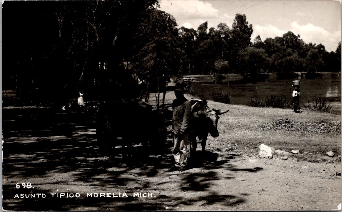 Morelia Mexico Ox Cart Rural Life Real Photo Postcard [AB]