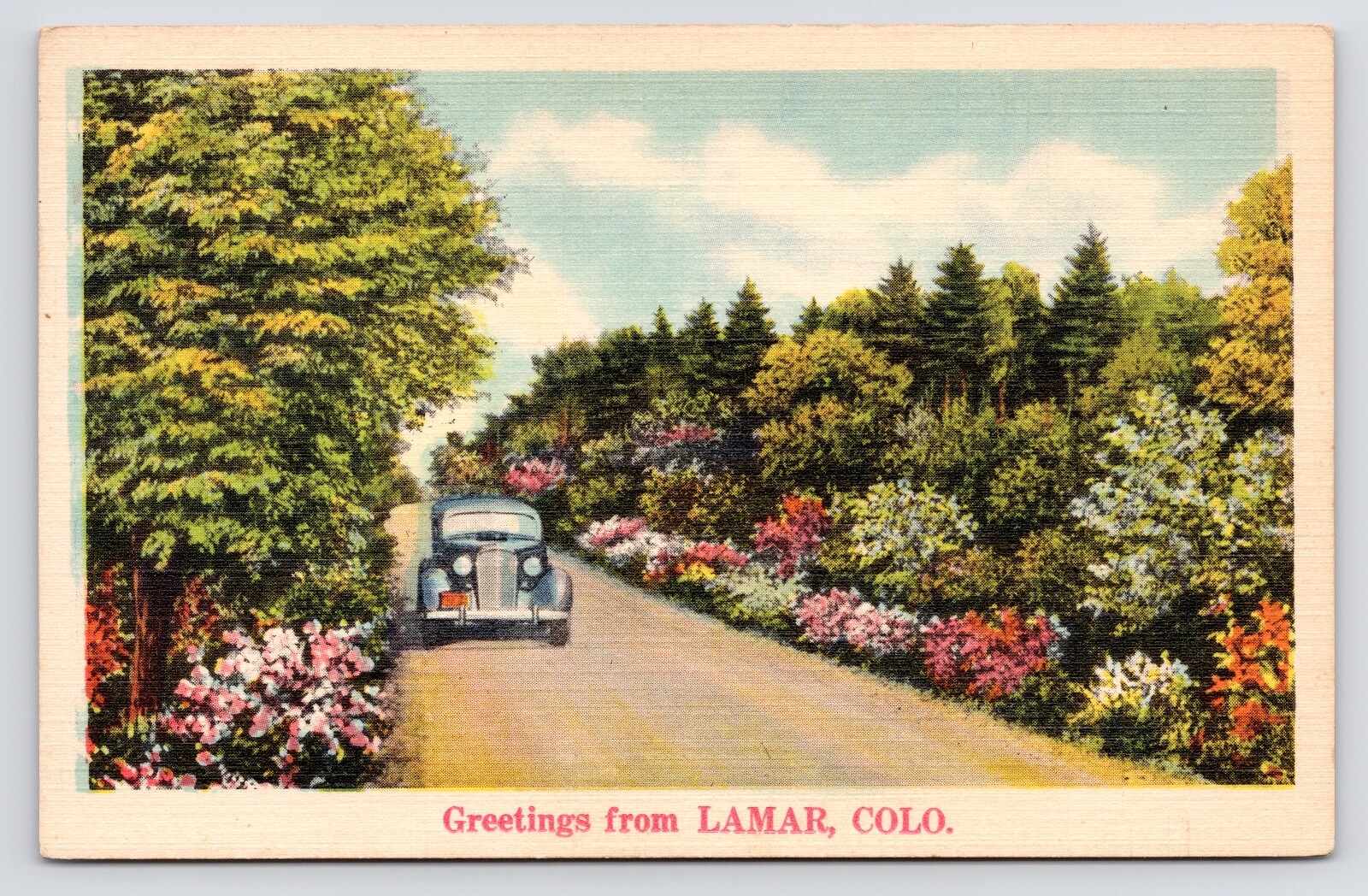 c1940s-Lamar Colorado Co~Greetings Card~Forest~Car~Country Road~Vintage Postcard