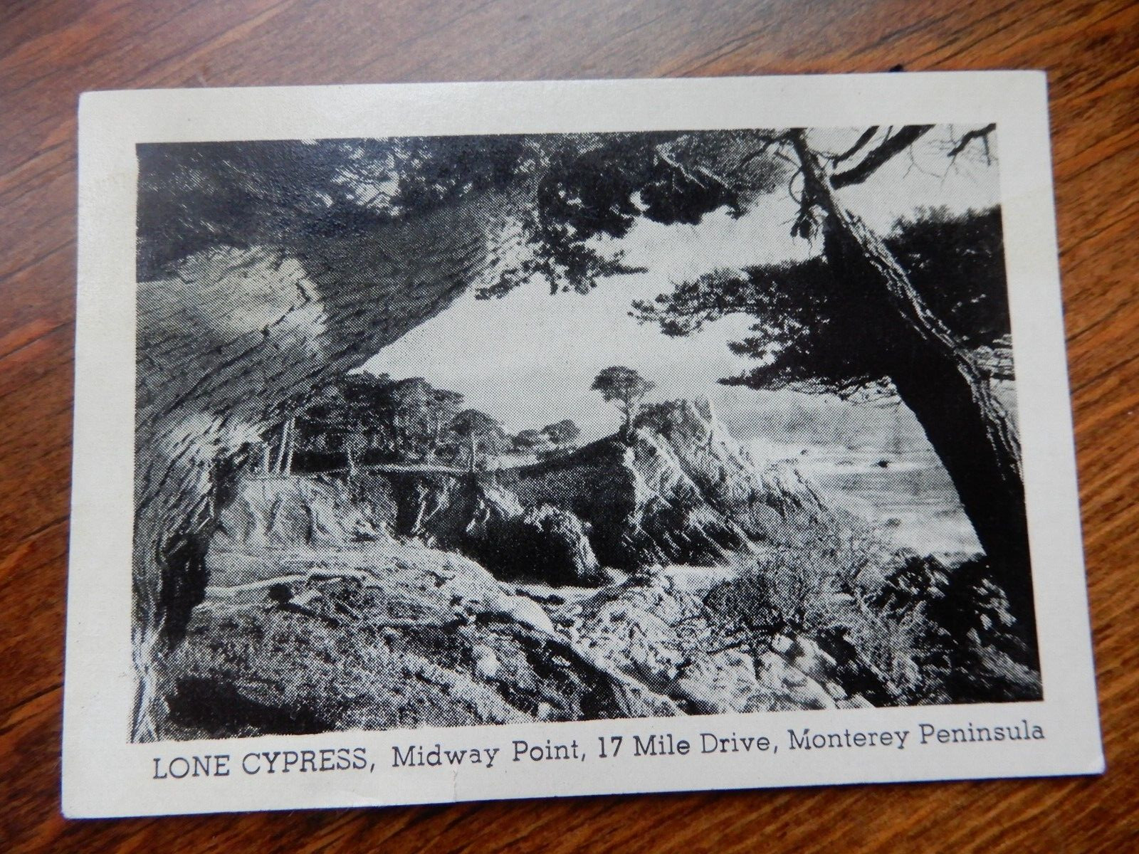 LOT OF 15 VINTAGE 1940’s ARMY WWII TRAINING FORT ORD, CALIFORNIA PICTURE CARDS
