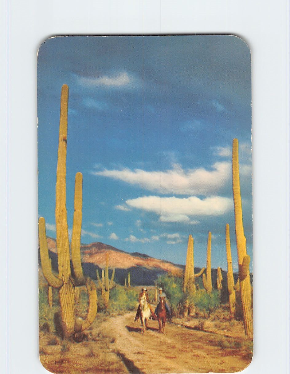 Postcard Riders on the Desert