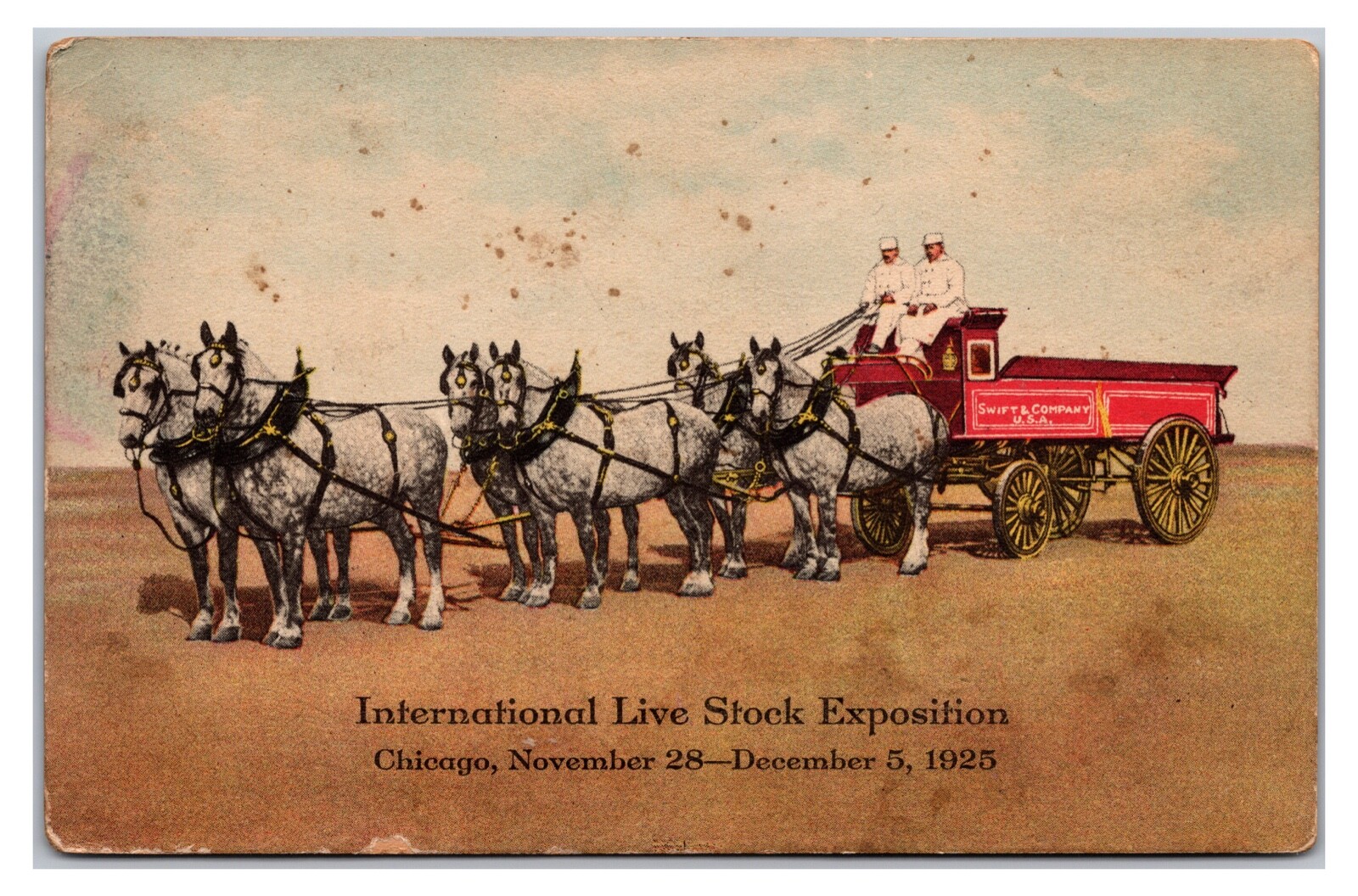 Vintage 1920s- International Live Stock Exposition, Chicago Postcard (UnPosted)