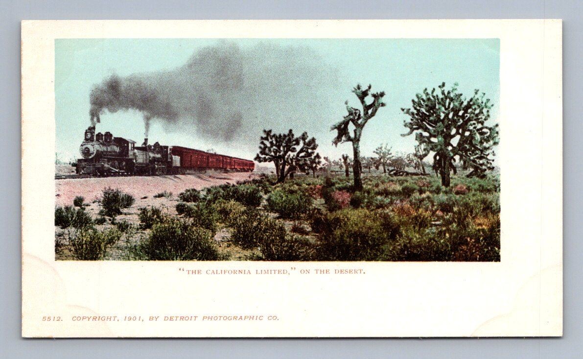 Antique Postcard The California Limited On The Desert 1901