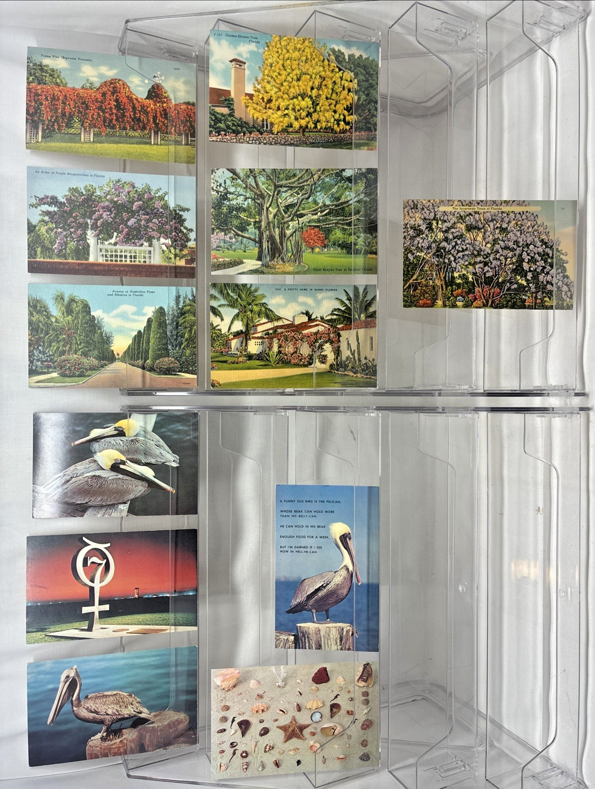 Lot Of 12 Vintage Linen 30’s-Modern Postcards Featuring scenery in Sunny Florida
