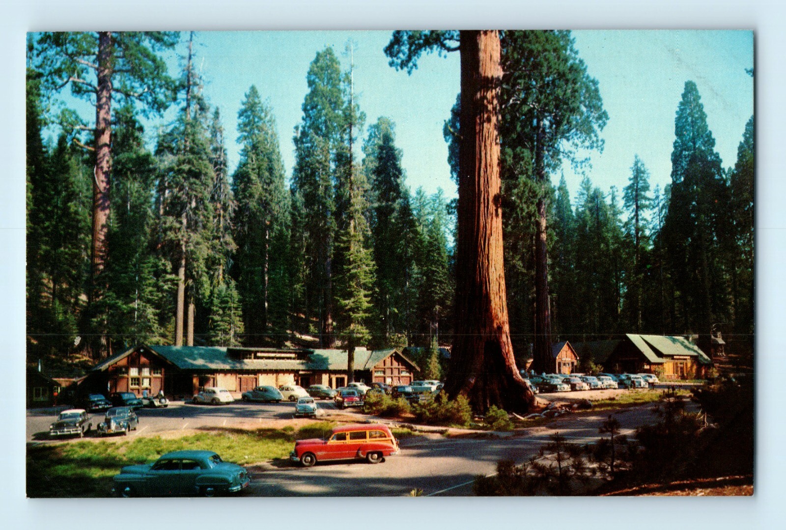 Sequoia National Park California Giant Forest Village Tourist Lodge Postcard C6