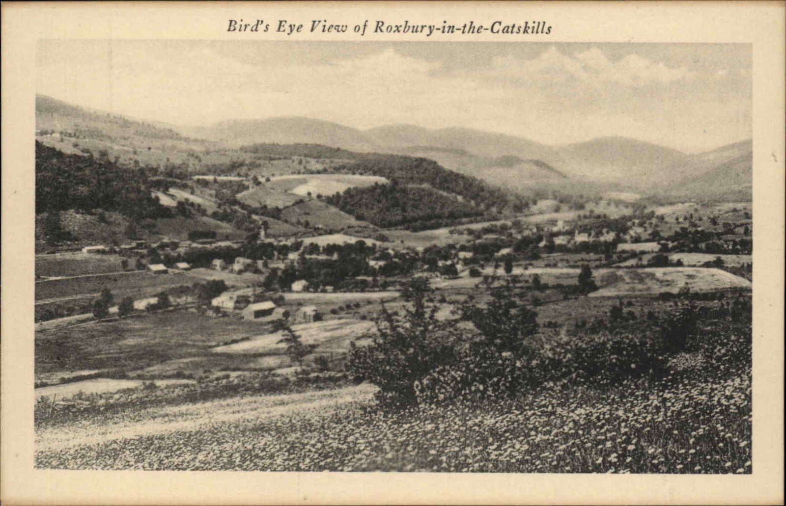 Roxbury New York NY Birdseye View c1900s-20s Postcard