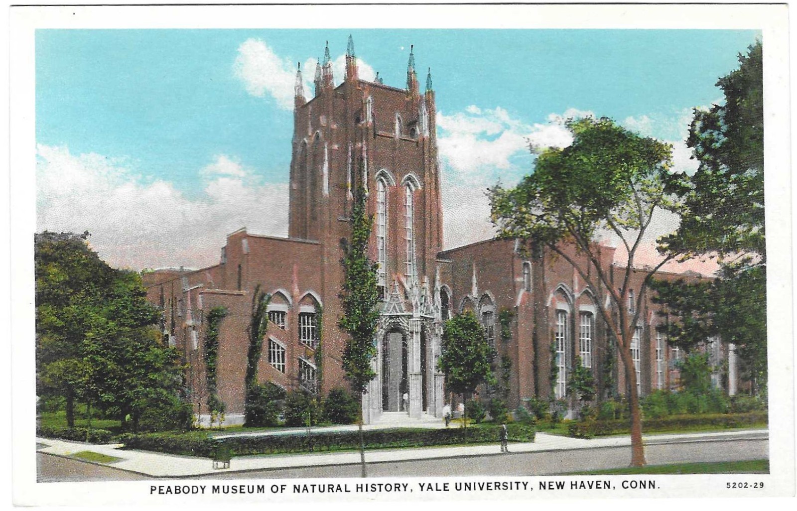 Vintage Connecticut Linen Postcard New Haven Yale University Peabody Museum