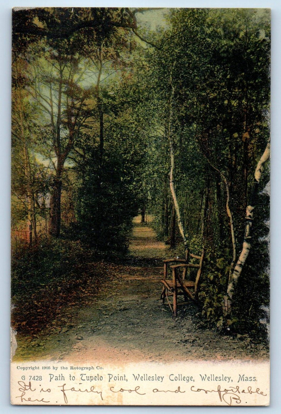 1909 Wellesley Massachusetts MA Vintage Postcard Path to Tupelo Point College