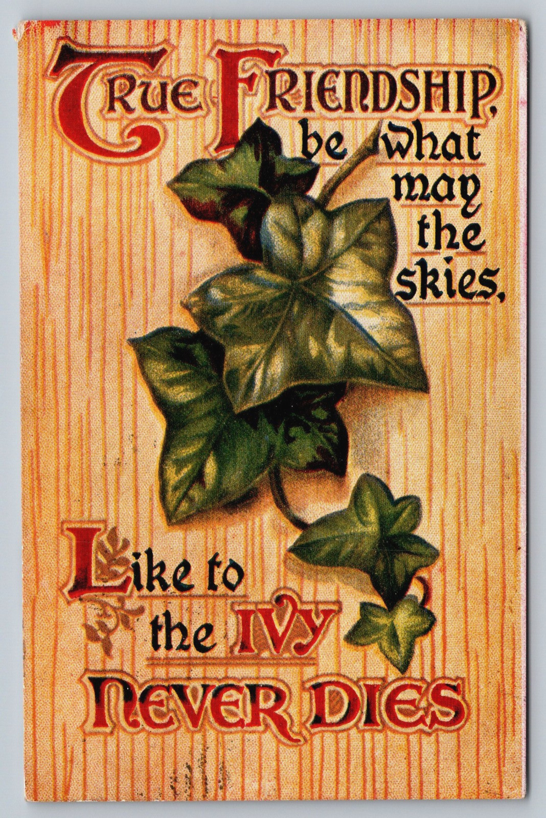 Vintage Postcard, 1913 True Friendship, Ivy, stamped-posted