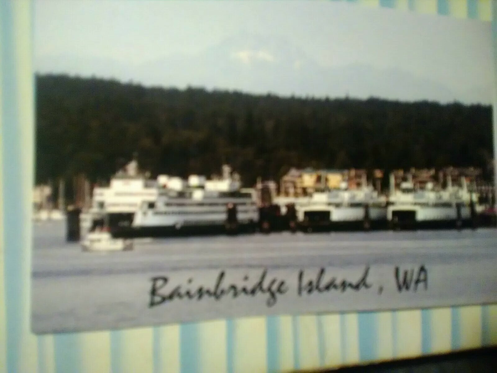 VINTAGE POST CARD WA STATE FERRIES EAGLE HARBOR BAINBRIDGE ISLAND WASHINGTON