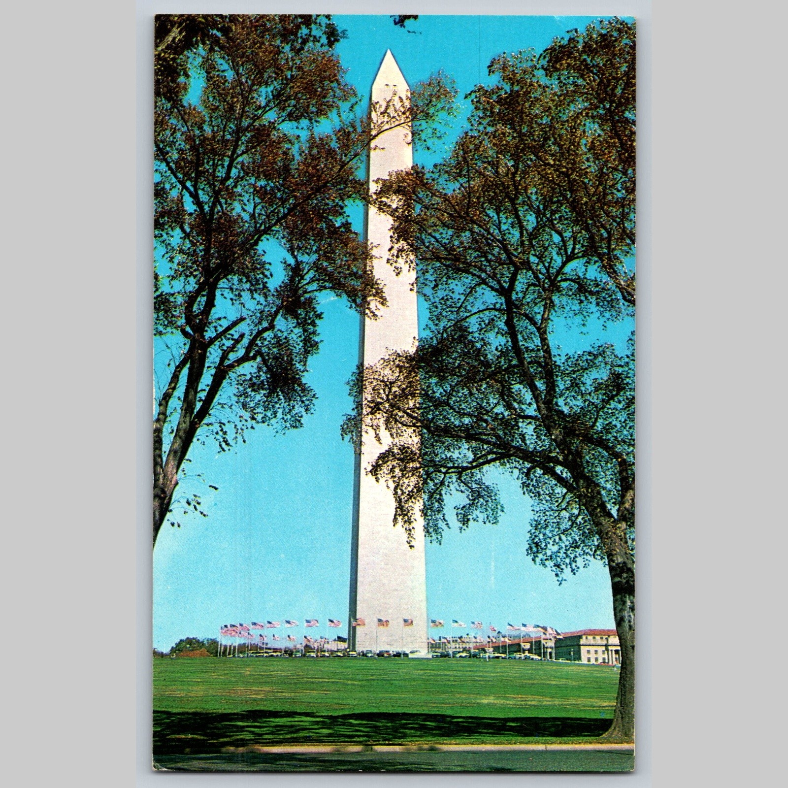 Postcard Washington Monument DC Famous Landmark Photochrome
