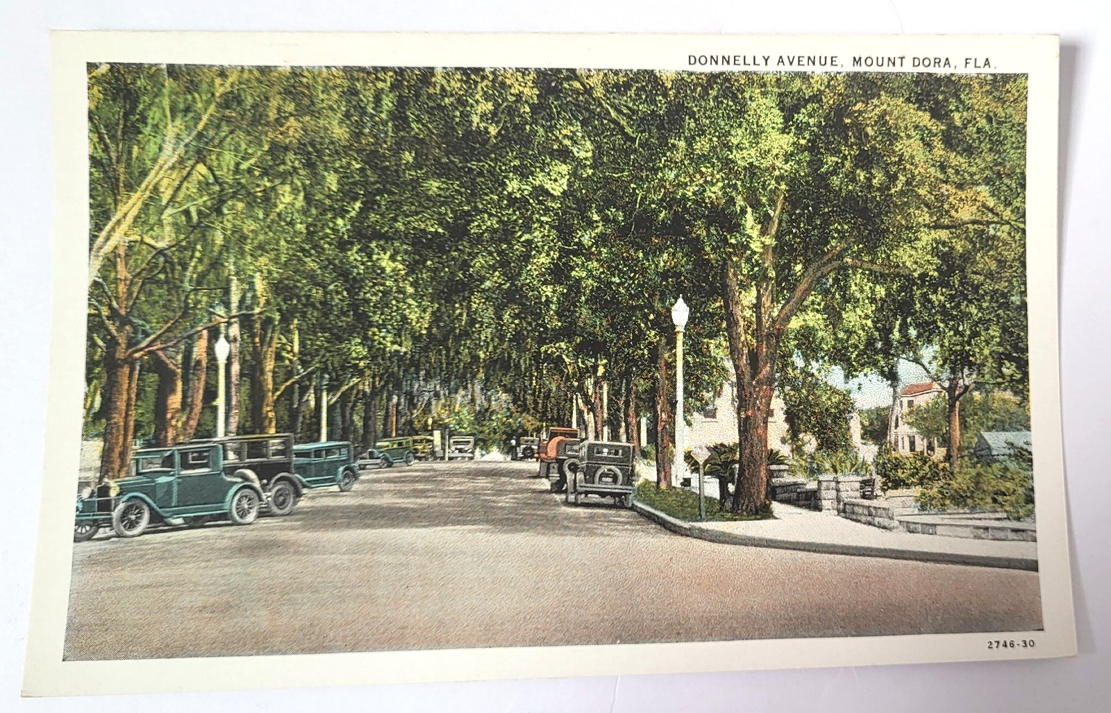 VTG 1930 MOUNT DORA FL PC Tree & Car Lined DONNELLY AVENUE Teich Archives MINT