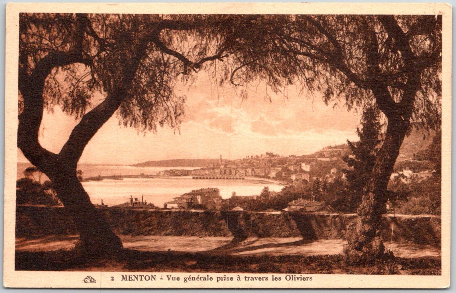 Menton General View Through Olive Trees Scenic France Unposted Postcard