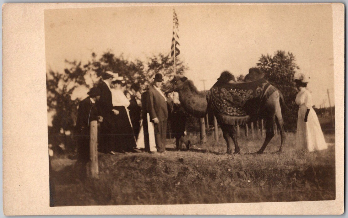 Antique 1908 Postcard Longfellow Garden Minneapolis St Paul Minnesota RPPC Camel