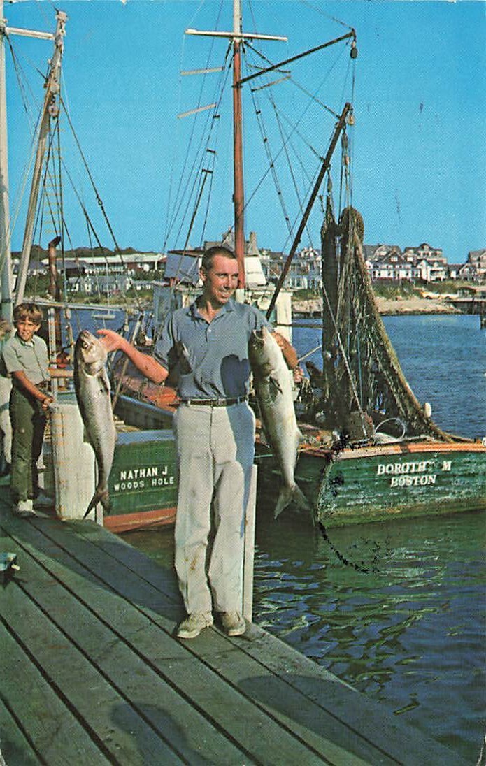 c1990s Fisherman Holding Catch Bluefish Dock Ships Cape Cod MA P509