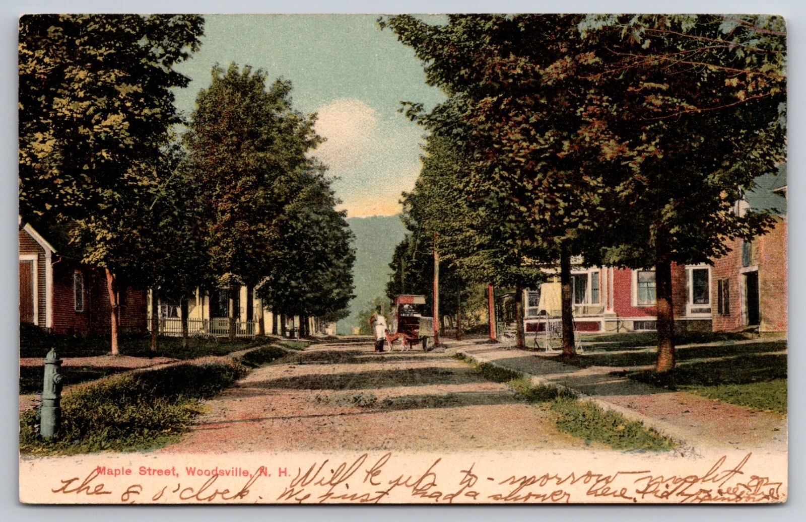 Maple Street Woodsville New Hampshire NH c1905 Postcard
