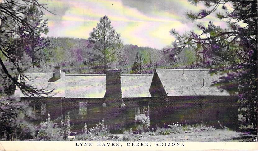 Lynn Haven Greer Arizona Postcard