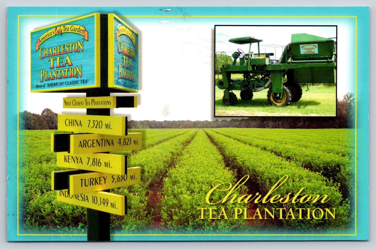Postcard Charleston Tea Plantation Wadmalaw Island South Carolina 2011