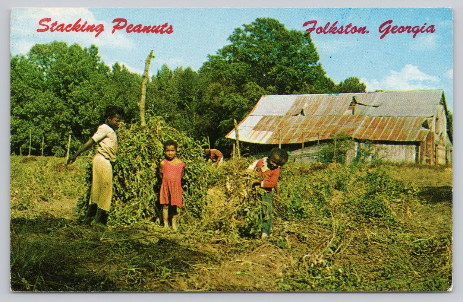 Folkston, Georgia Vintage Postcard – Stacking Peanuts Rural Farm Scene