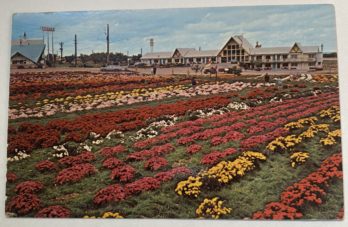 Vintage Postcard ~ Mums Western Motel Garden View ~ North East Pennsylvania PA