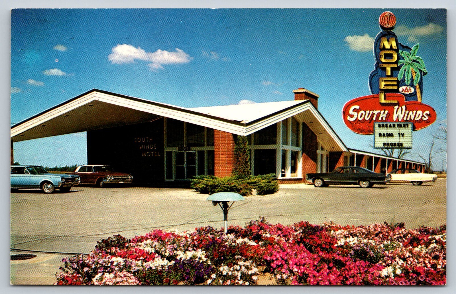 London Ontario South Winds Motel Wellington Road Palm Tree Sign Postcard ON