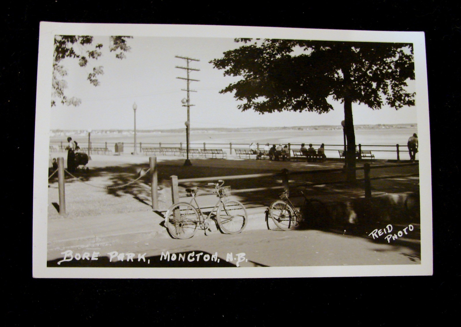 VTG CKC RPPC POSTCARD “SCENIC RIVER VIEW OF BORE PARK” NEW BRUNSWICK, CANADA
