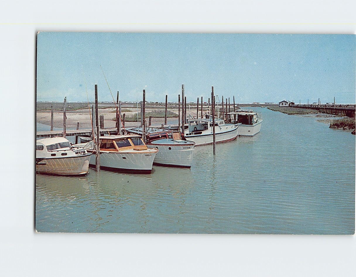 Postcard Alex’s Marina Boats Murrell’s Inlet South Carolina USA