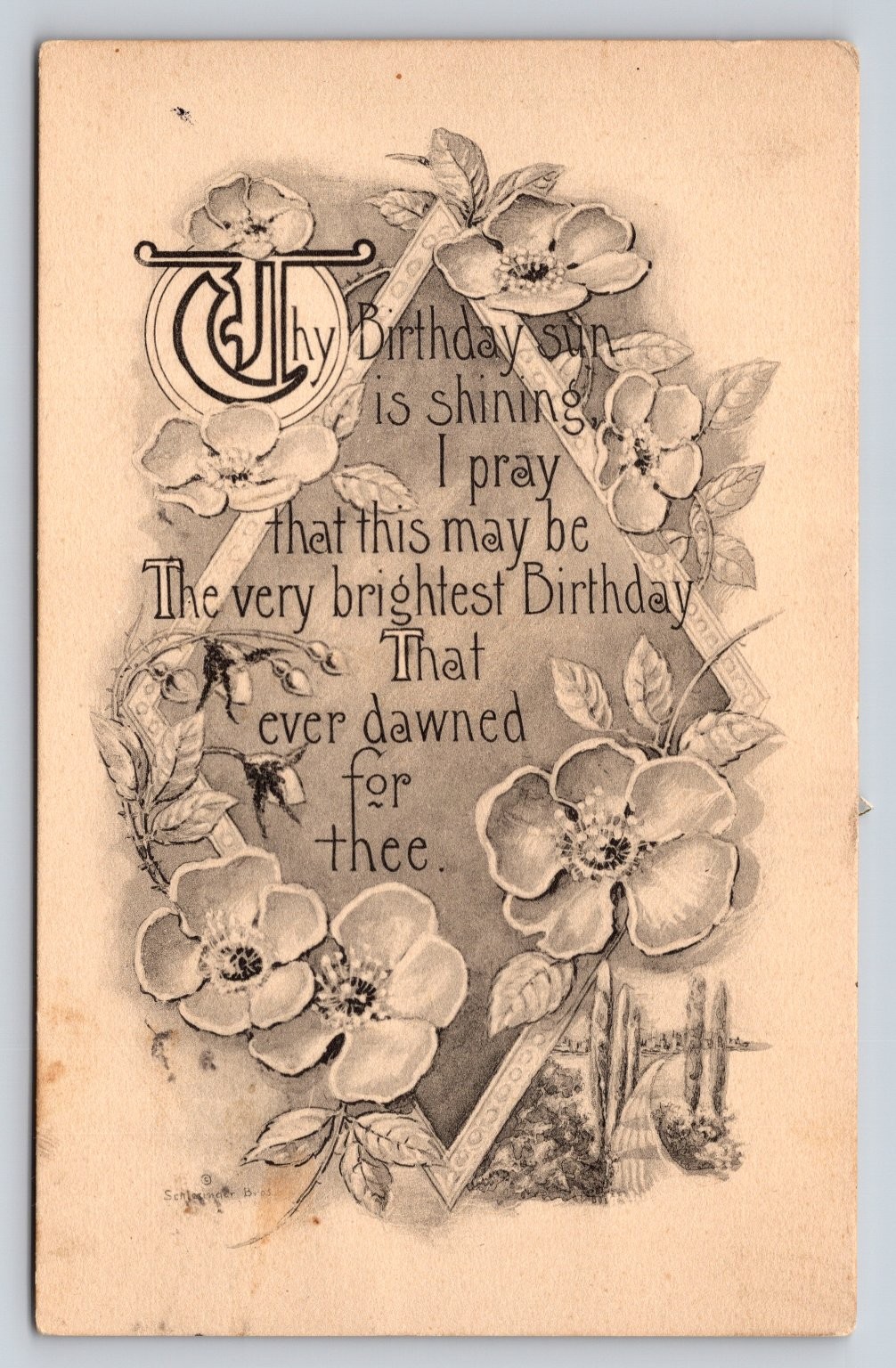 1917 Clay Center Kansas Birthday Poem Postcard Schlesinger Bros