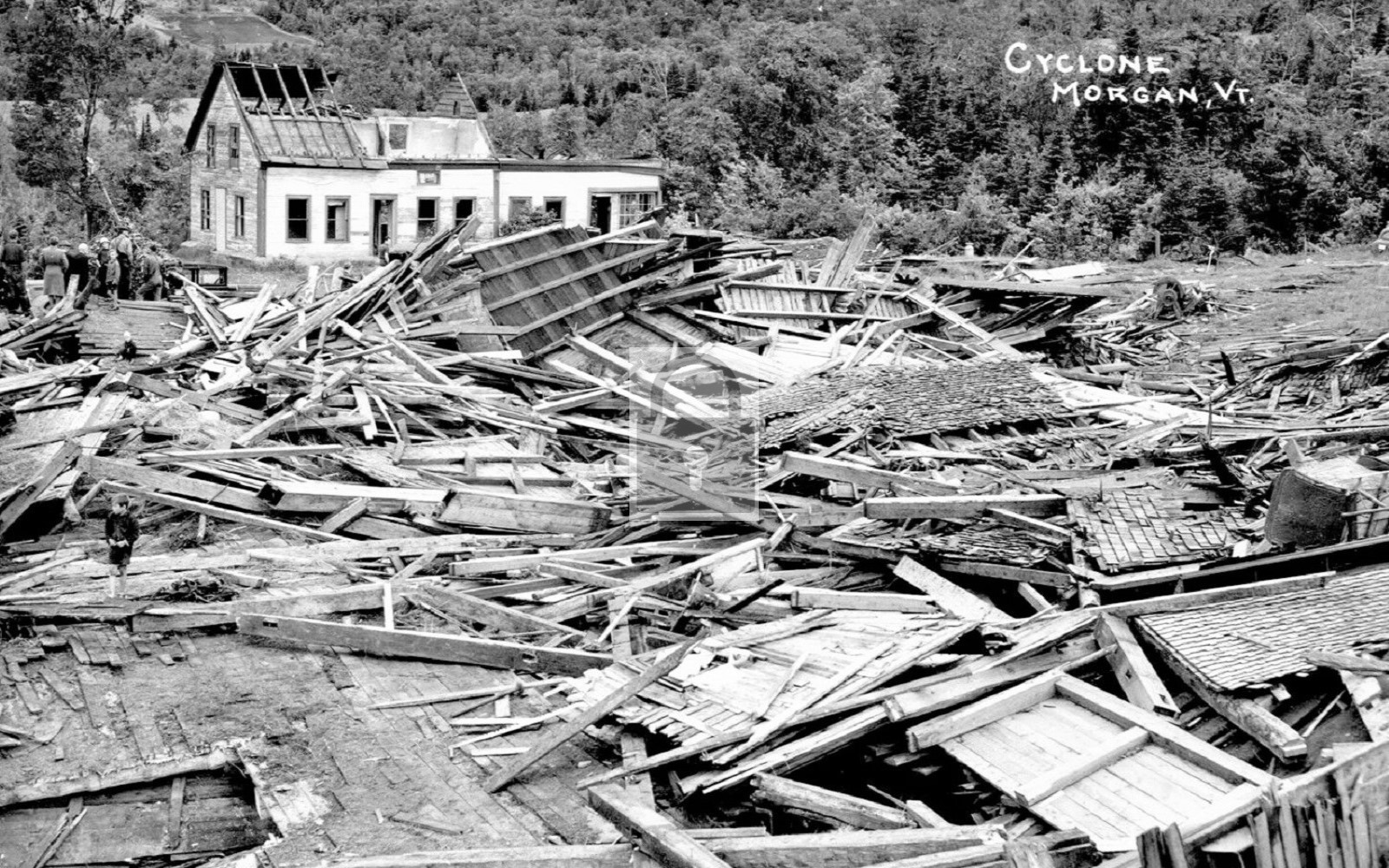 Cyclone Damage Morgan Vermont VT – Reprint