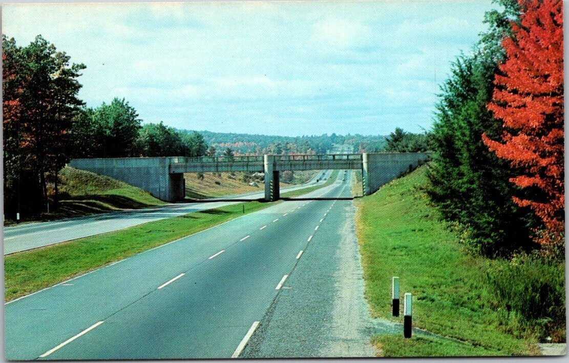 Modern Superhighway in Autumn New York Printed Chrome Postcard Unposted A46