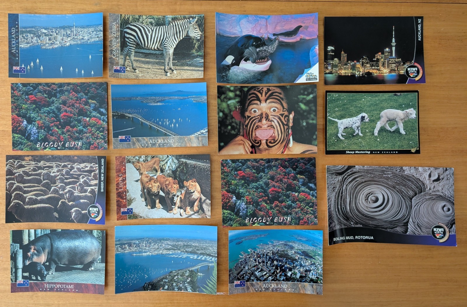 Lot of 15 Postcards from New Zealand (Auckland, Rotorua, Animals) – No Stamps