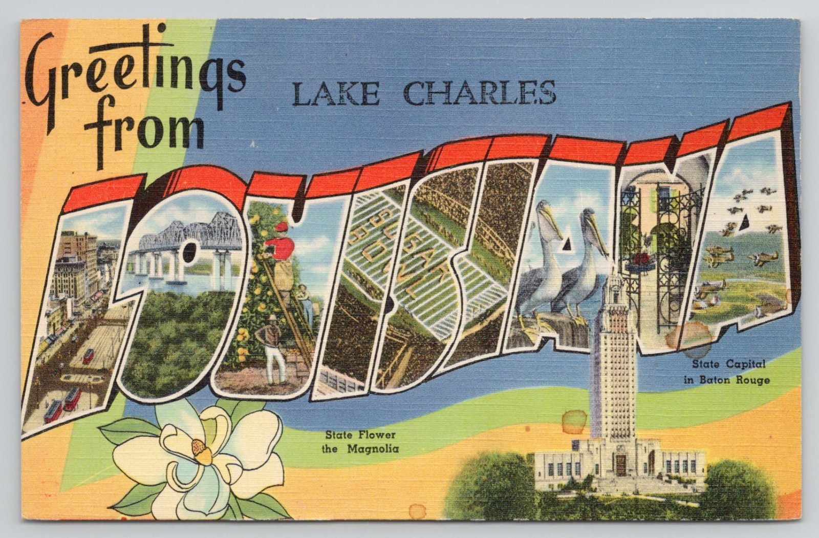 Greetings From Lake Charles Large Letter Postcard Tichnor