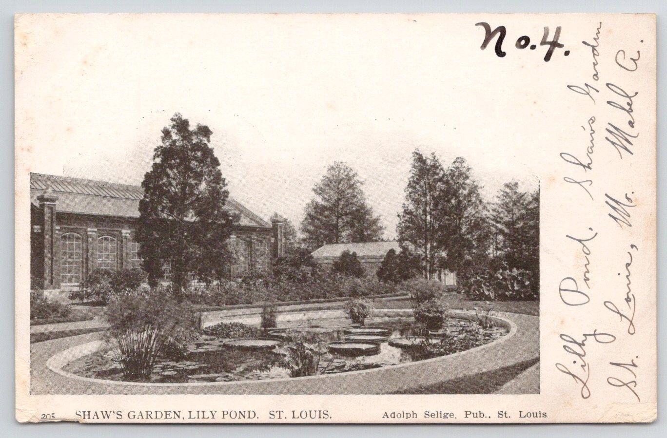St Louis MO Shaw’s Garden Lily Pond 1906 Postcard