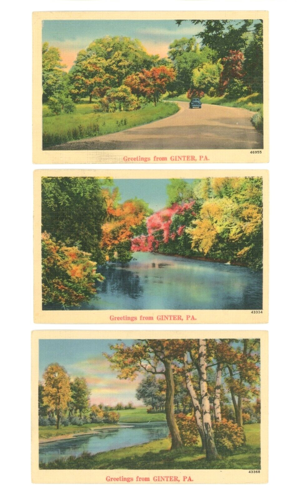 Set of 7 Vintage Travel Postcards Ginter PA Pennsylvania USA United States Rare