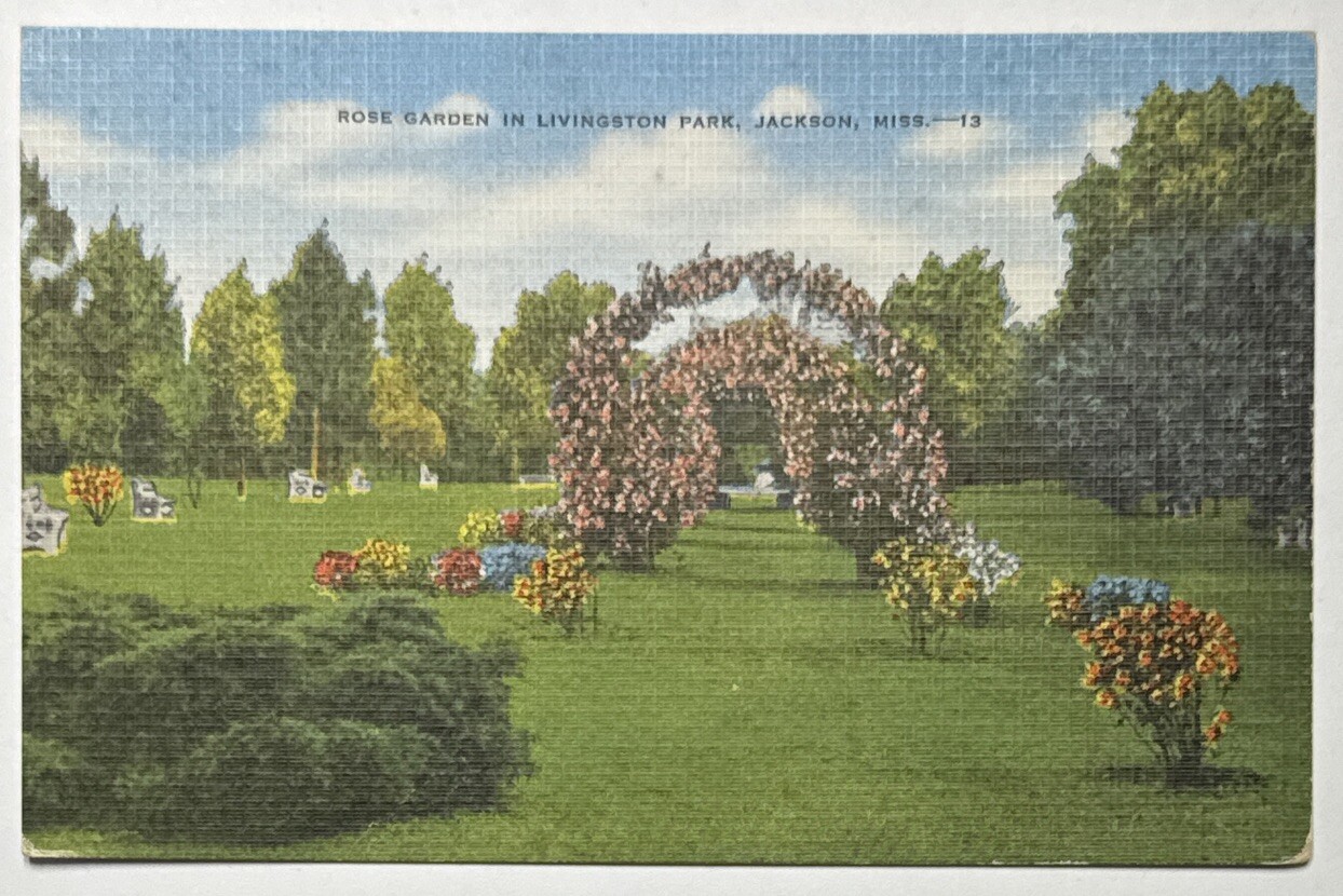 Rose Garden in Livingston Park Jackson Mississippi MS Unused Linen Postcard