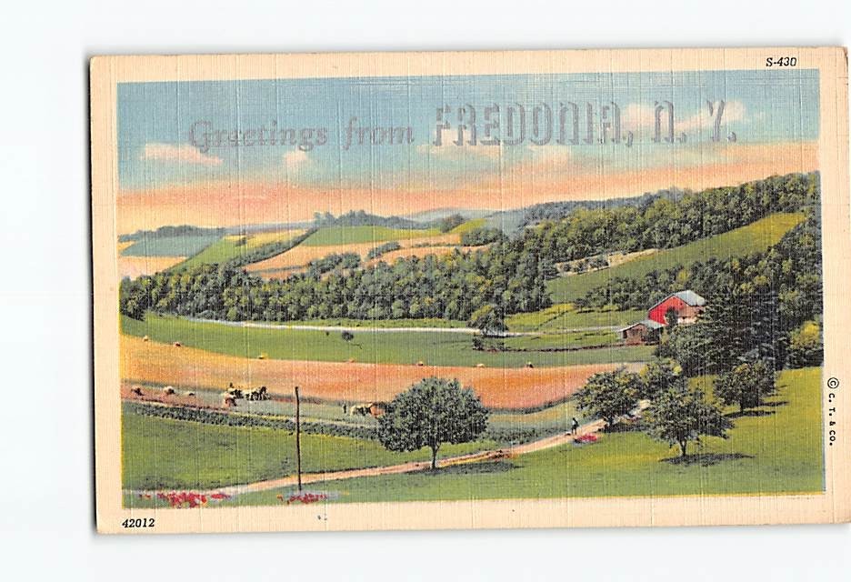 Postcard Greetings from Fredonia New York USA