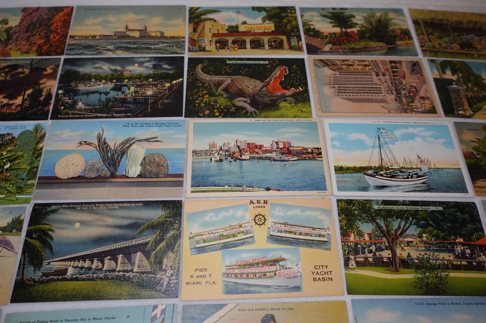 Florida Sites Historical Places Miami Jacksonville Postcard Lot – 80+ Postcards