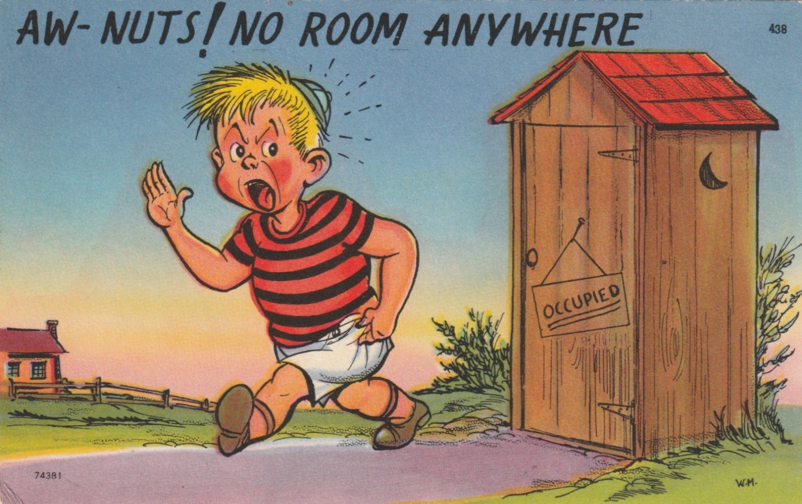 Vintage Postcard Aw-Nuts! No Room Anywhere Boy Outhouse Comic Tichnor Bros 438