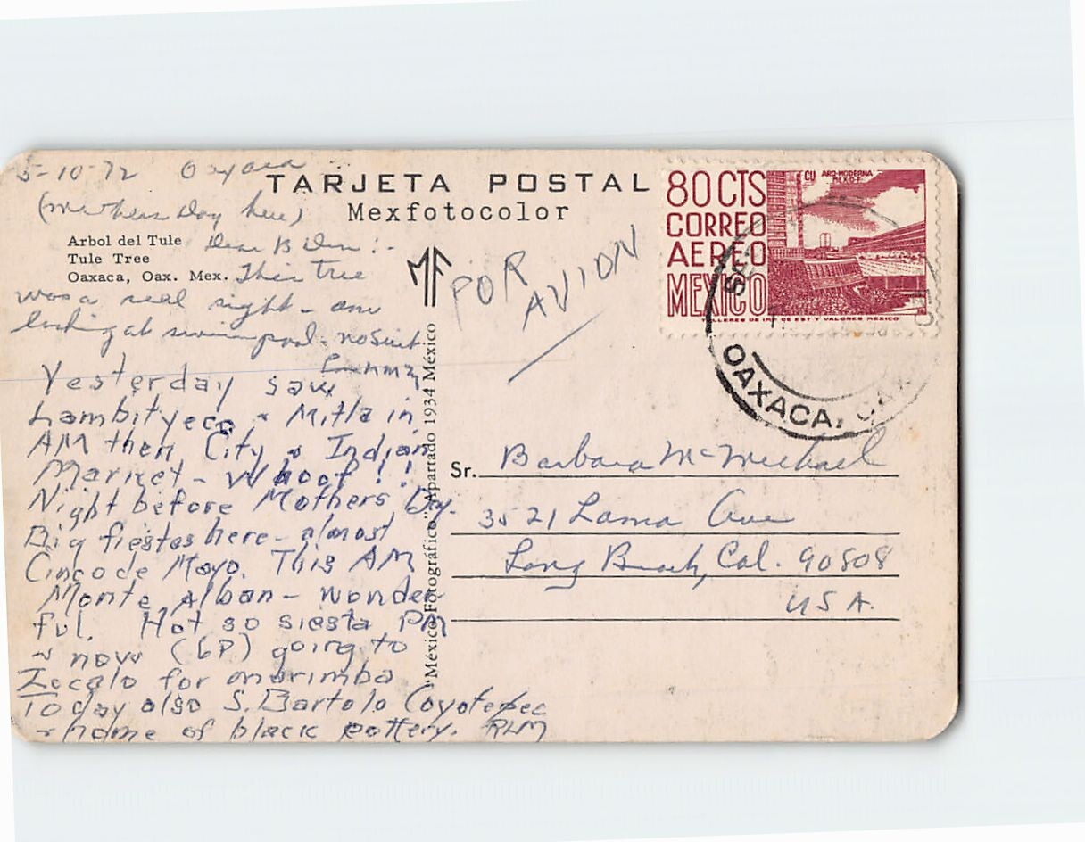 Postcard Tule Tree Oaxaca Mexico